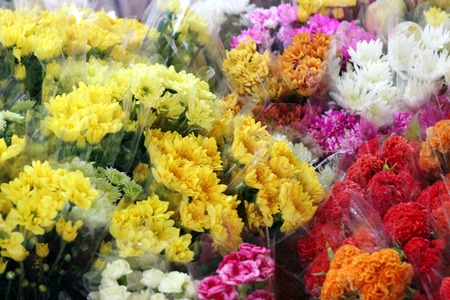 Fresh colorful flower market.の写真素材