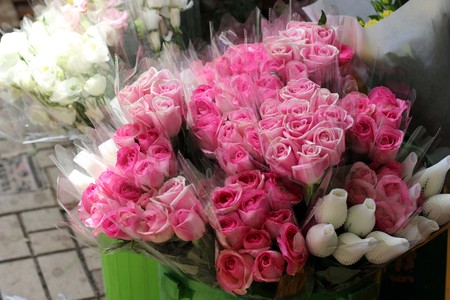 Flowering carnations, pink, red, green, white.の写真素材