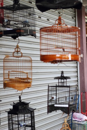 bird in the wooden cage, taken in Hong Kong Bird Marketの写真素材