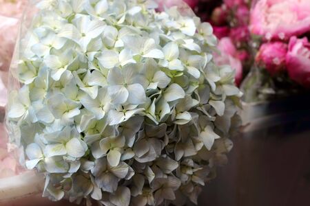 variety of flowers at a flower marketの写真素材