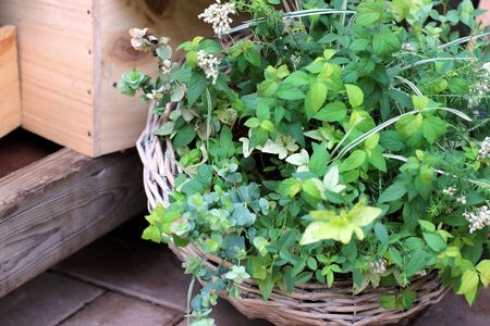 mix flowers in a large vase in the gardenの写真素材