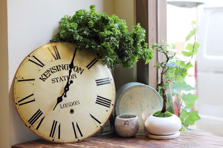white wooden wall decorated with clocks and glass bottles
