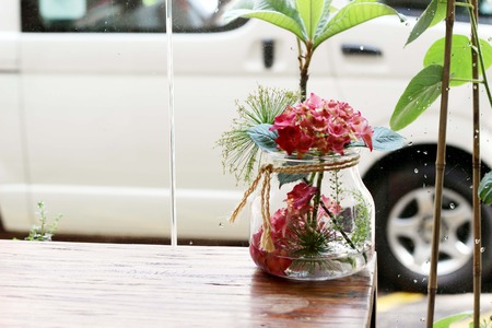 Beautiful red flowerの写真素材