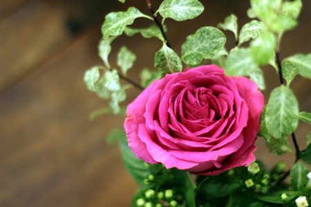 colorful flowers bouquet. roses. tulips. birthday,Mothers day, valentines day, greetings, congratulations.の写真素材