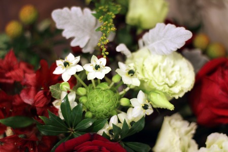 Bouquet of red white rosesの写真素材