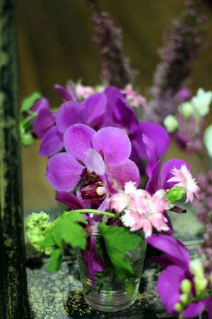 The bouquets, orchids, vibrant colors.の写真素材