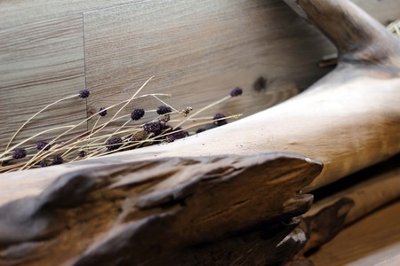 roots artの写真素材