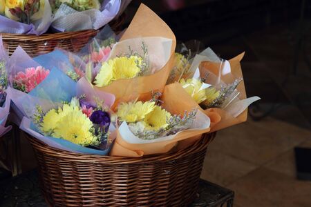 Colorful gerberaの写真素材