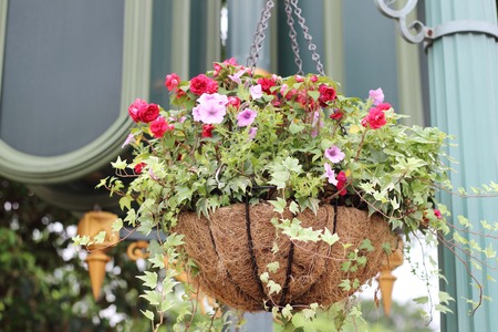 Beautiful hanging flower pots outdoors.の写真素材