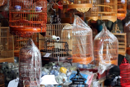 bird in the wooden cage, taken in Hong Kong Bird Marketの写真素材