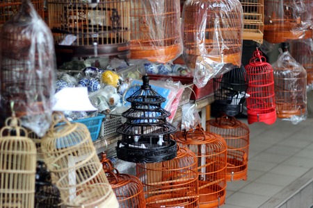bird in the wooden cage, taken in Hong Kong Bird Marketの写真素材