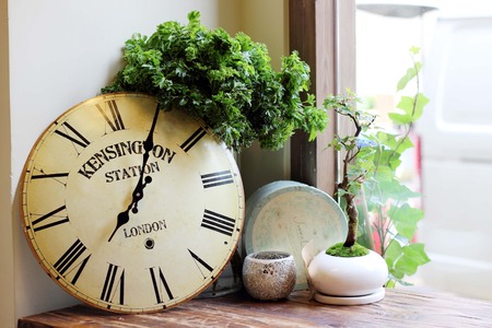 white wooden wall decorated with clocks and glass bottlesの写真素材