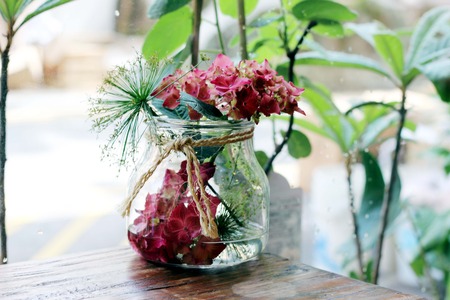 Beautiful red flowerの写真素材