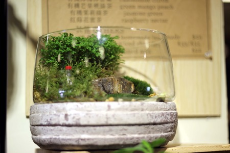 mix flowers in a large vase in the gardenの写真素材