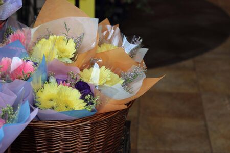 Colorful gerberaの写真素材