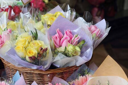 Colorful gerberaの写真素材