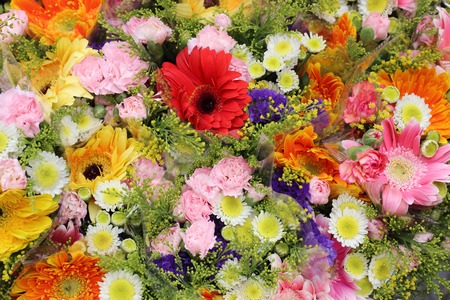 Fresh colorful flower market.の写真素材