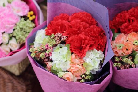 Flowering carnations, pink, red, green, white.の写真素材