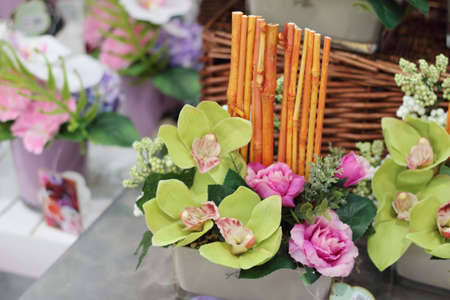 phalaenopsis purple flowers on a white backgroundの写真素材