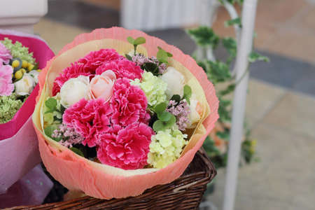 Flowering carnations, pink, red, green, white.の写真素材