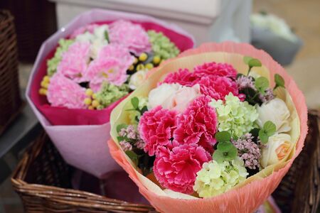 Flowering carnations, pink, red, green, white.の写真素材