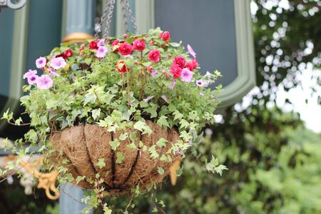 Beautiful hanging flower pots outdoors.の写真素材