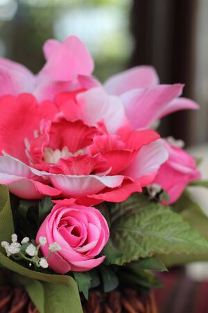 basket of peonies isolated on white backgroundの写真素材