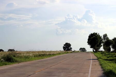 asphalt road through the green field and clouds on blue sky in summer dayの写真素材