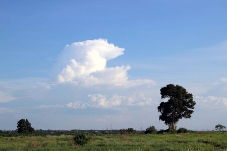 asphalt road through the green field and clouds on blue sky in summer dayの写真素材