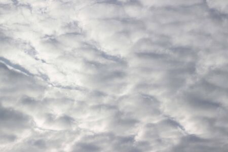 Cloudscape. Blue sky and white cloud.の写真素材