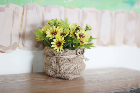 Flowers near a window in bright day .の写真素材