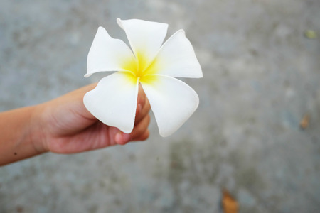 Coffee on grunge wooden backgroundの写真素材