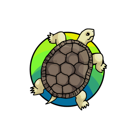 Tortoise. Animal art, cute cartoon style, vector hand drawn illustration. Suitable for pet shop or zoo ads, label design or animal food package elementのイラスト素材