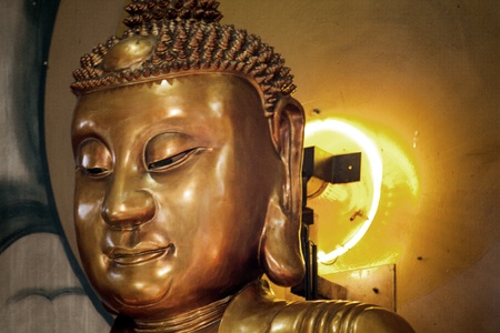 Real happinessの写真素材