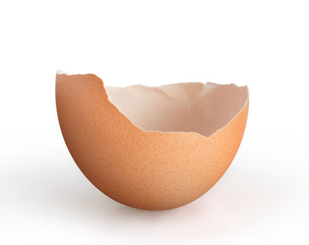 Egg shell isolated on a white background.