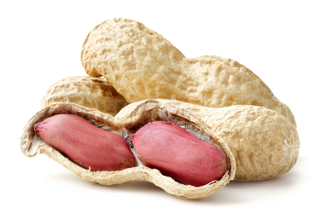 ripe peanuts in pods isolated on white backgroundの写真素材