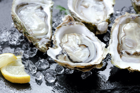 opened fresh oysters with ice and lemon slice on black slate backgroundの写真素材