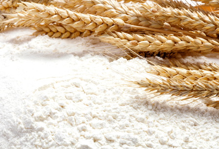 ripe golden ears of wheat on heap of white wheat flourの写真素材