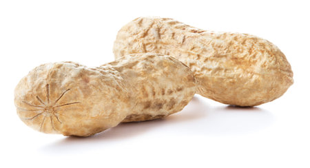 ripe peanuts in pods isolated on white background