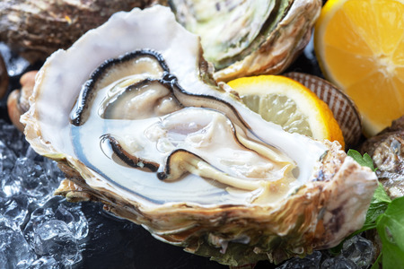 opened fresh oysters with ice and lemon slice on black slate backgroundの写真素材