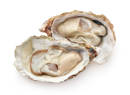 fresh open oysters isolated on white backgroundの写真素材