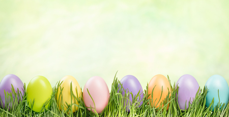 set of colorful easter eggs in green grassの写真素材