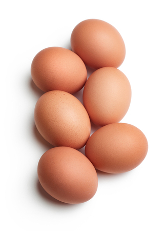 set of chicken egg isolated on white backgroundの写真素材