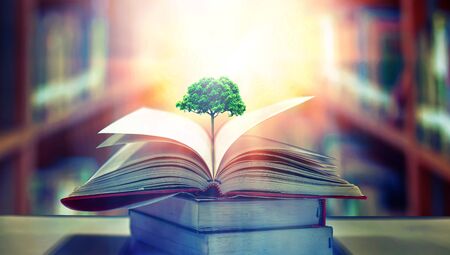 education concept with tree of knowledge planting on opening old big book in library with textbook, stack piles of text archive and aisle of bookshelves in school study class roomの写真素材