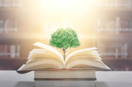 education concept with tree of knowledge planting on opening old big book in library with textbook, stack piles of text archive and aisle of bookshelves in school study class roomの写真素材