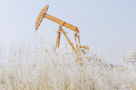 oil pumping machines and reeds in winterの写真素材