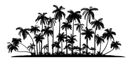 A group of high Quality Vector silhouettes of tropical beach palms.のイラスト素材