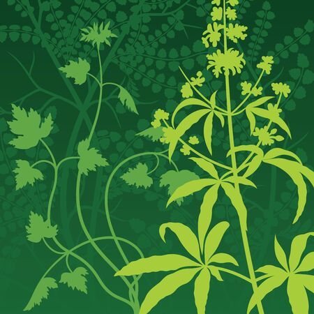Vector Green Background texture illustration of a wild growth of plantsのイラスト素材