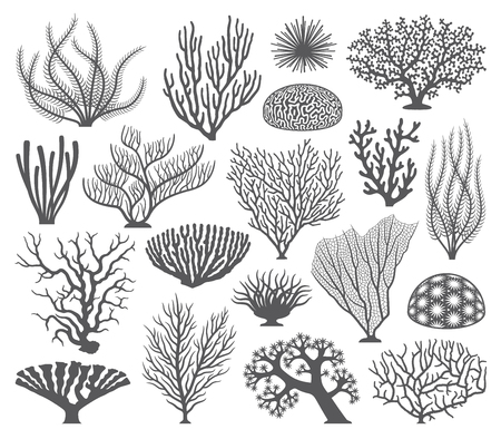 Collection of many different Coral and coral formations Vector Silhouettesのイラスト素材