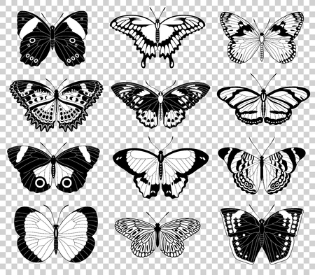 Collection of original vector illustrations of butterfly insectsのイラスト素材